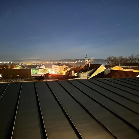 Luxus Loft Ueber Den Daechern Von Roding Eksteriør billede